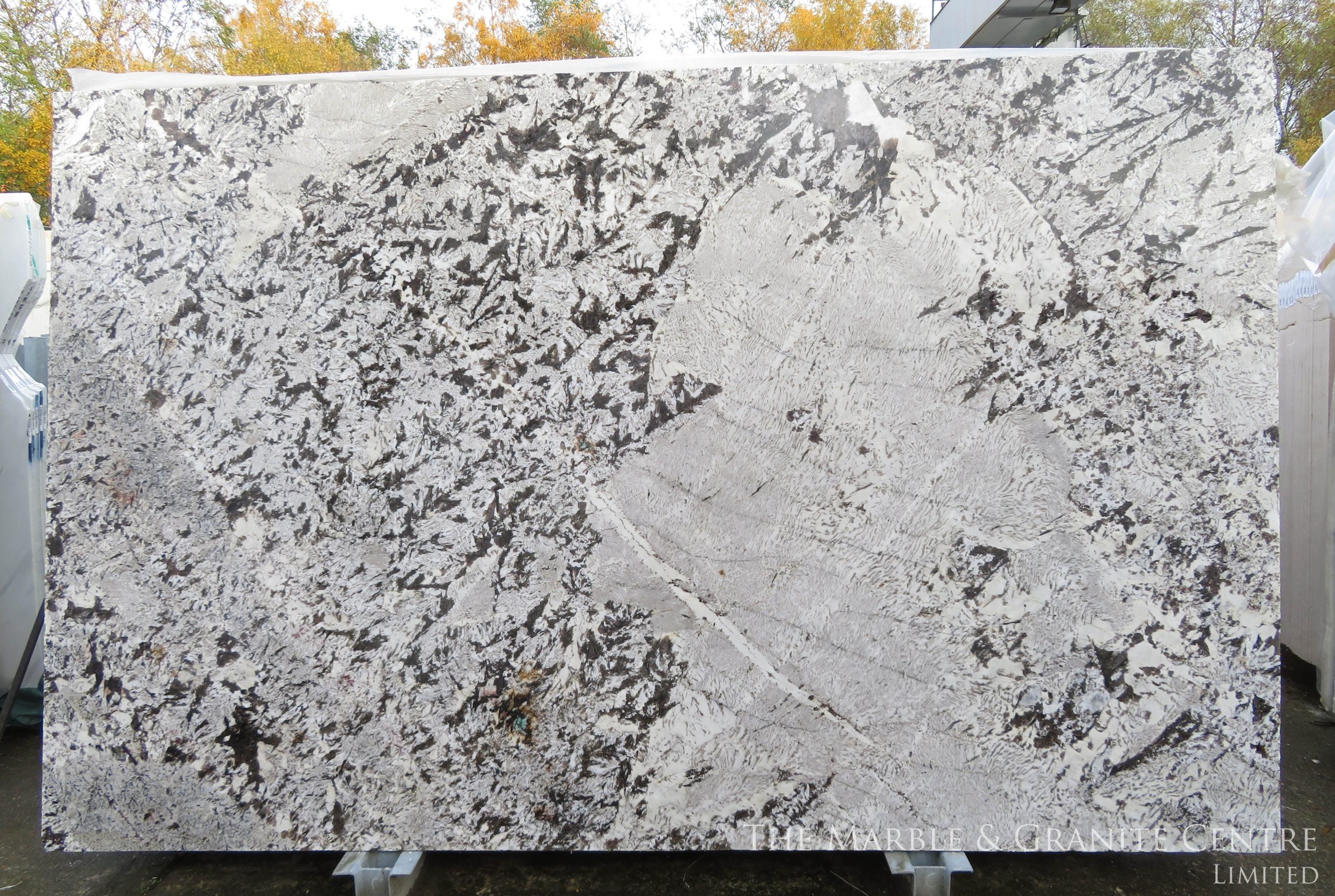 Aspen White Granite Slab