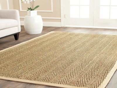 Good Looking Home Decorators Collection Rugs