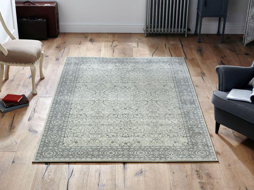 Home Decorators Collection Rugs Gallery