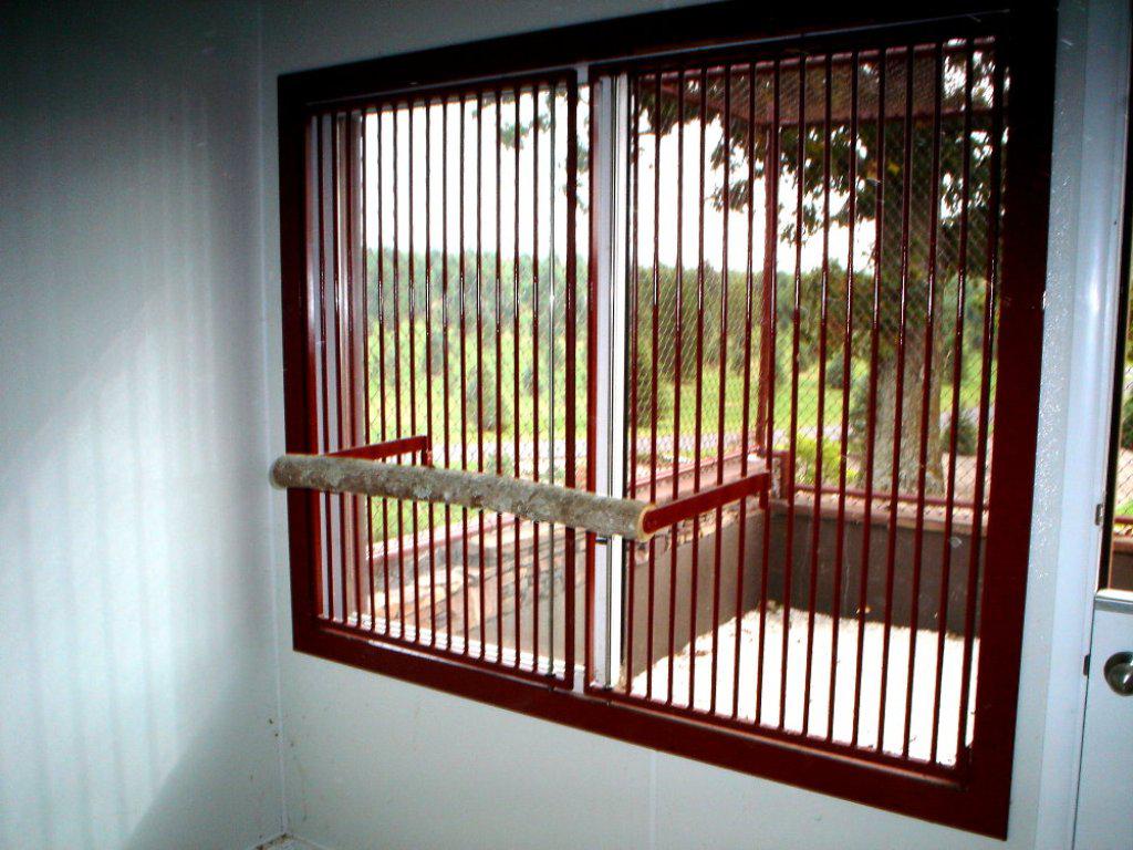 Pictures Of Decorative Security Bars For Residential Windows